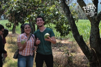 Visita a la destilería Aconte Rum.