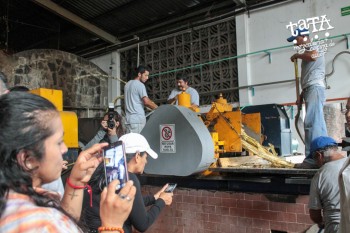 Visita a la destilería Aconte Rum.