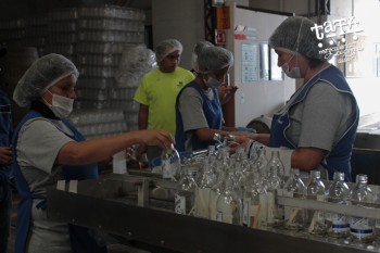 Visita a la destilería Aconte Rum.